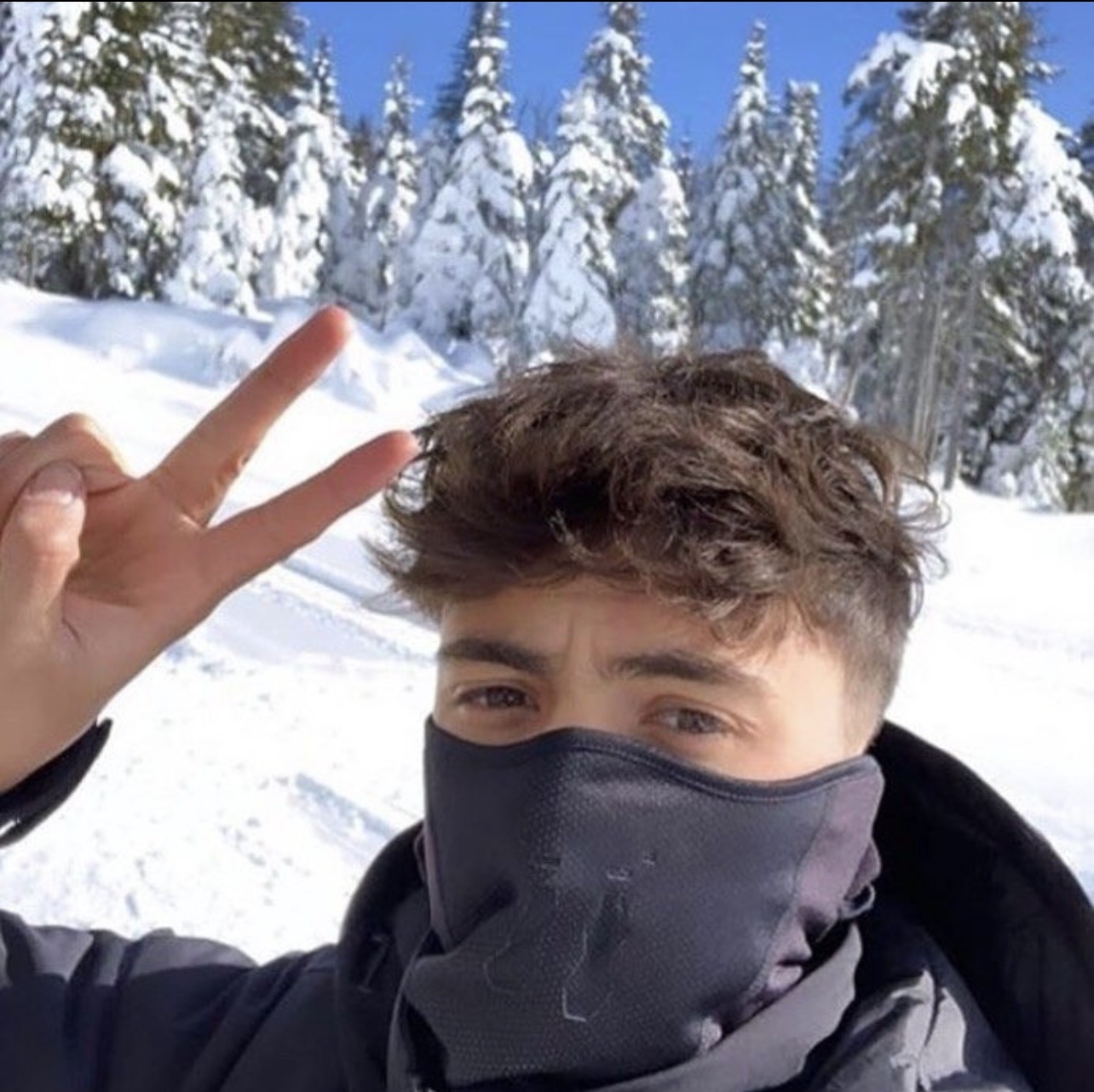 Profil de Venceslas, 27 ans, Sexe Suisse à Daiwil