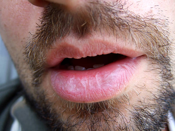 Profil de Mehdy, 31 ans, Sexe Suisse à Scuol